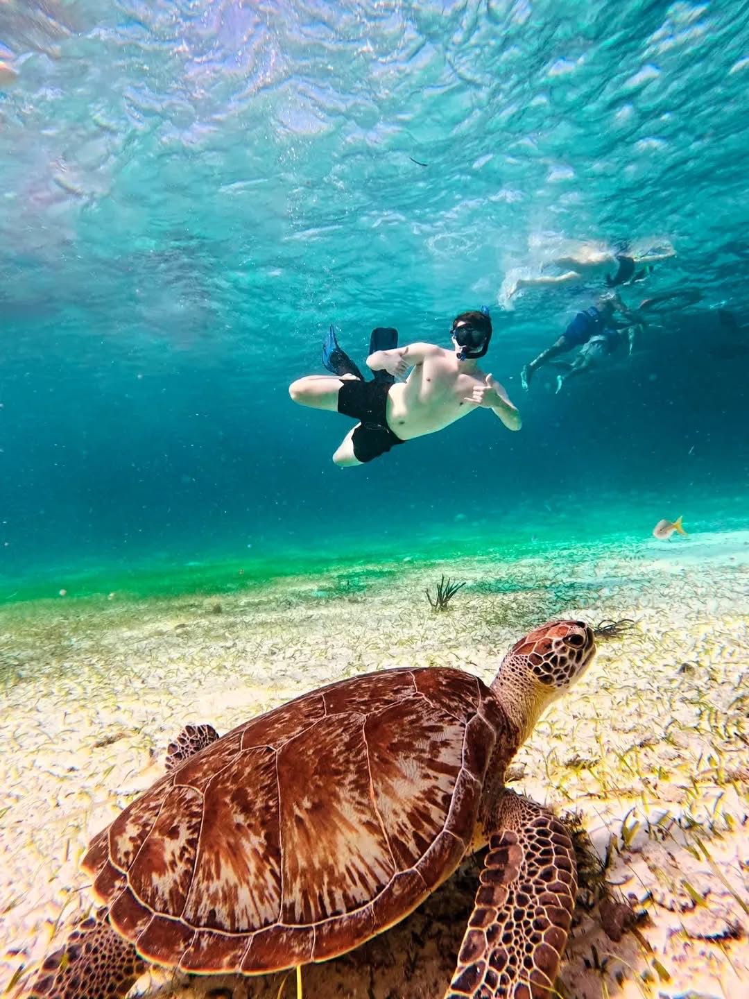 Snorkel en aguas claras de Cozumel